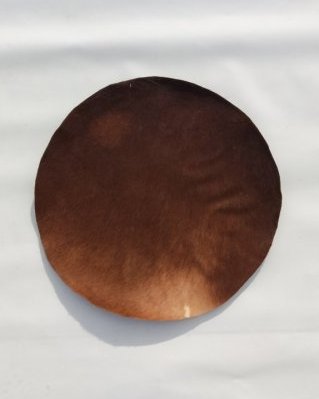 Thick djembe horse skin with hair M