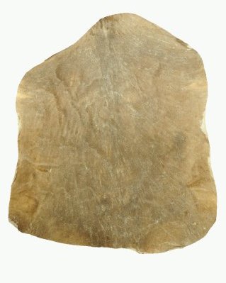 Shaved Sahel djembe drum goat skin semi-thick