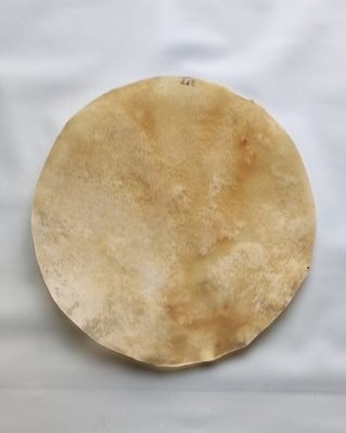 Semi thick drum cow / steer skin without hair M