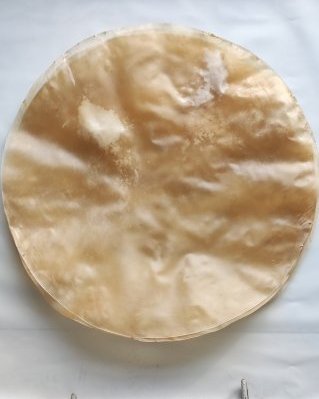 Thin djembe cow / calf skin without hair XXL