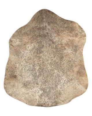 Speckled brown Sahel djembe goat skin very thick