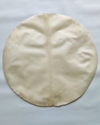 Shaved thin djembe elk skin XL