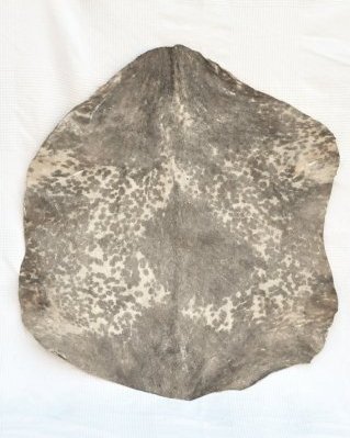 Mottled white Sahel djembe goat skin thin