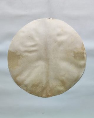 Shaved semi-thick djembe elk skin M