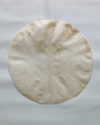 Shaved thin djembe elk skin M