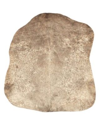 Speckled brown Sahel djembe goat skin semi-thick