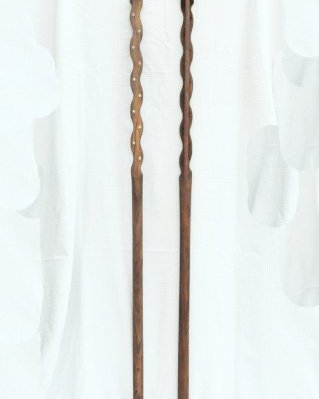 Kamale ngoni neck 10 strings