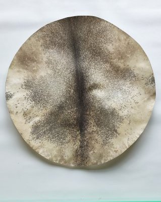 Shaved thick djembe deer skin XL