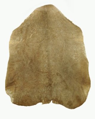 Shaved Sahel djembe drum goat skin thick