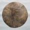 Shaved very thick djembe deer skin M