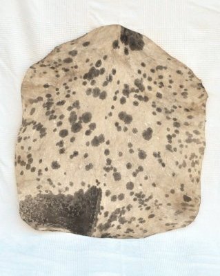 Mottled white Sahel djembe goat skin thick