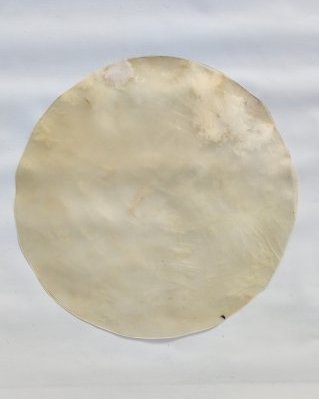 Very thin djembe horse skin without hair L