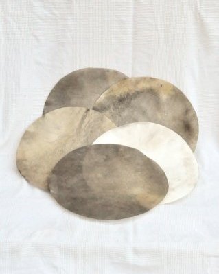 Pack 5 downgraded shaved djembe drum cervid skins with hair L