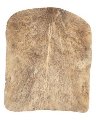 Speckled brown Sahel djembe goat skin very thick