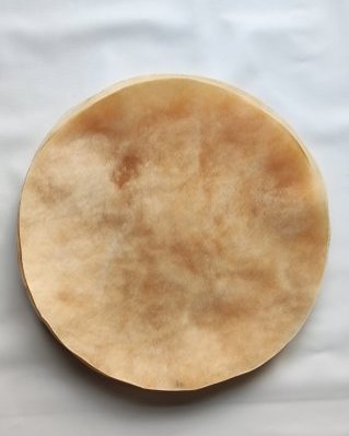 Semi thick drum cow / steer skin without hair L