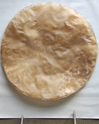 Semi thick drum cow / steer skin without hair XXL