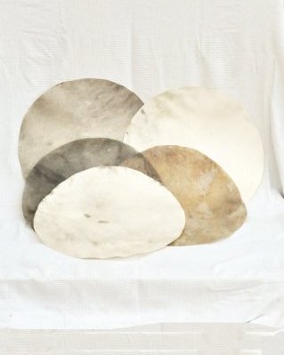 Pack 5 downgraded shaved djembe drum cervid skins with hair XL