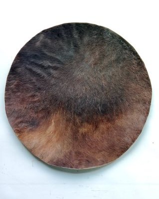 Thick djembe horse skin with hair L