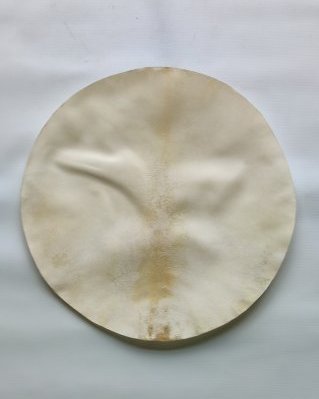 Shaved very thick djembe elk skin M