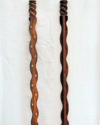 Kamale ngoni neck 10 strings