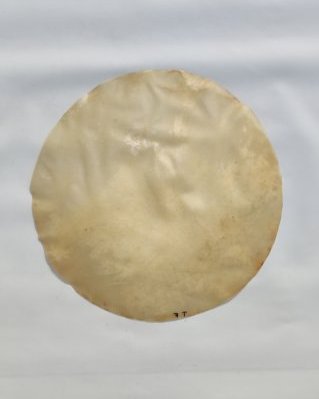 Thin djembe horse skin without hair M
