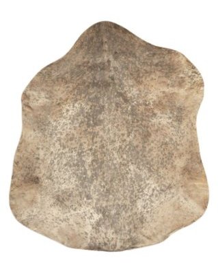Speckled brown Sahel djembe goat skin thick