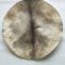 Shaved thick djembe deer skin XL