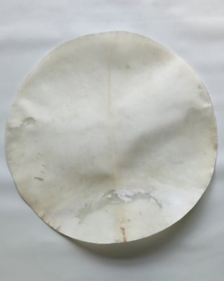 Shaved semi-thick djembe elk skin XL