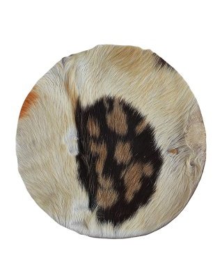 Djembe goat skin with hair semi-thick