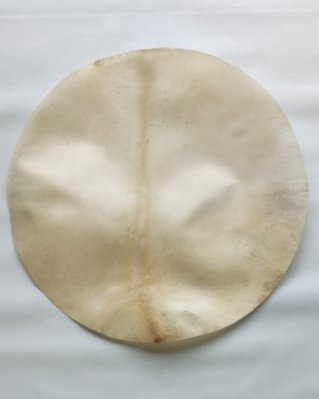 Shaved very thick djembe elk skin XL