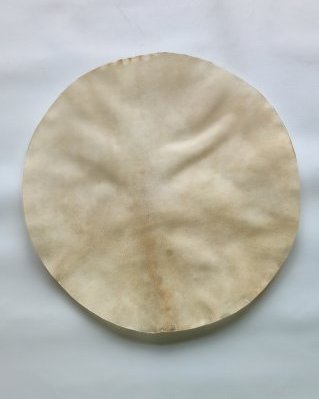 Shaved thick djembe elk skin M