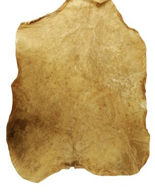 Shaved Sahel djembe drum goat skin thin