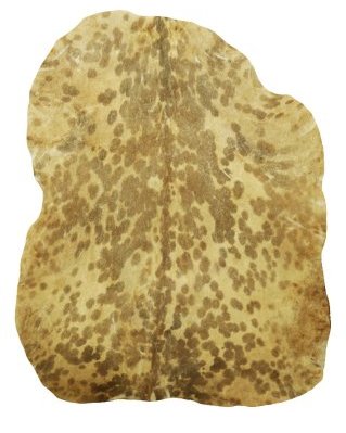 Mottled white Sahel djembe goat skin thick