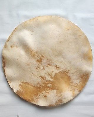 Semi thick drum cow / steer skin without hair XL