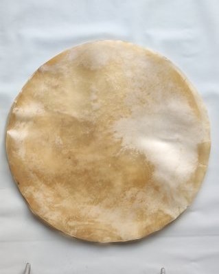 Thin djembe cow / calf skin without hair XL